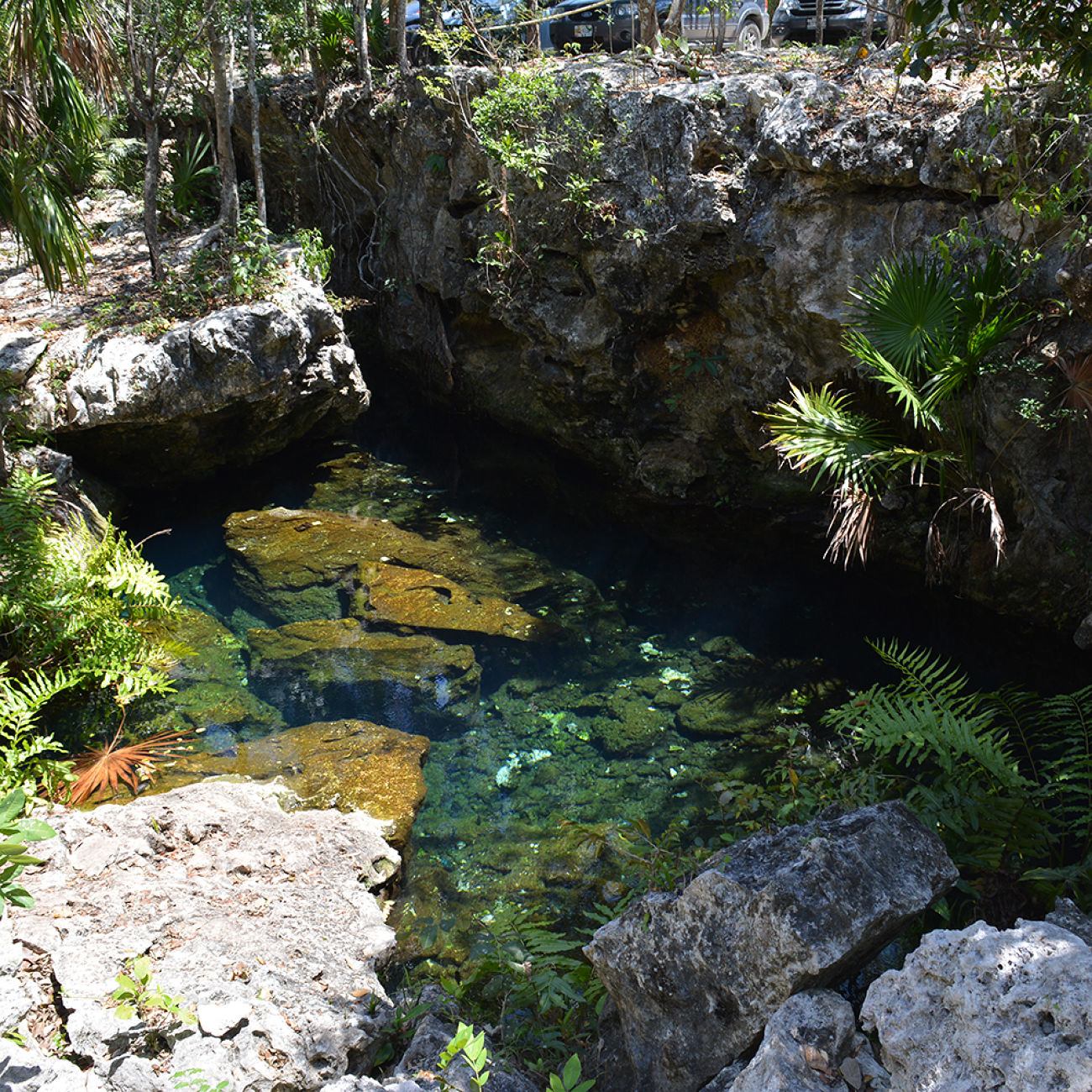 Cenote Cenote