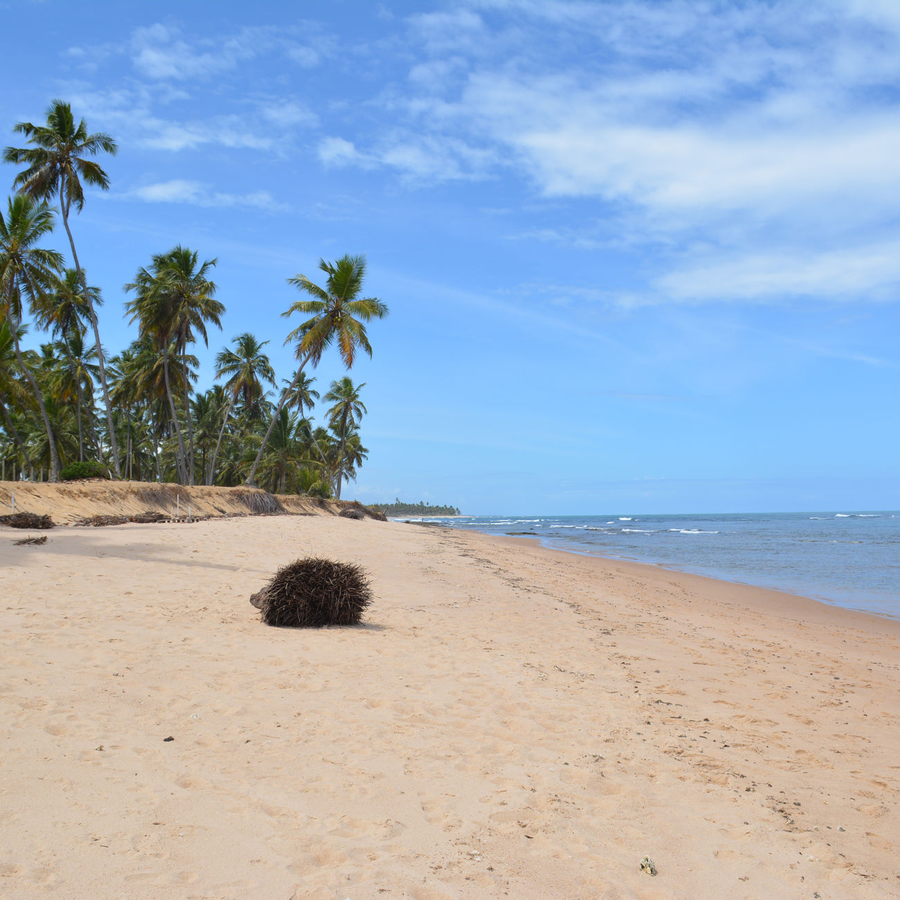 One of the most beautiful beaches One of the most beautiful beaches